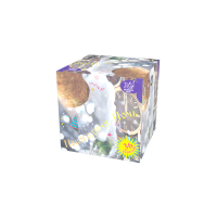 Новогодняя ночь Салют купить в Октябрьске | oktyabrsk.salutsklad.ru