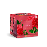 Пионы Салют купить в Октябрьске | oktyabrsk.salutsklad.ru