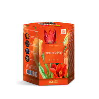 Тюльпаны Салют купить в Октябрьске | oktyabrsk.salutsklad.ru