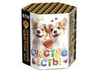 Счастье есть! Салют купить в Октябрьске | oktyabrsk.salutsklad.ru