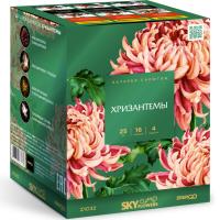 Хризантемы Фейерверк купить в Октябрьске | oktyabrsk.salutsklad.ru