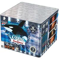 Косатка Фейерверк купить в Октябрьске | oktyabrsk.salutsklad.ru