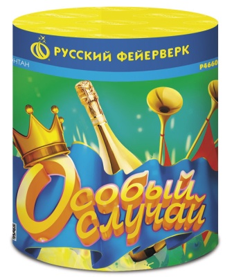 Особый случай Пиротехнический фонтан купить в Октябрьске | oktyabrsk.salutsklad.ru