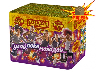 Гуляй, пока молодой... Фейерверк купить в Октябрьске | oktyabrsk.salutsklad.ru