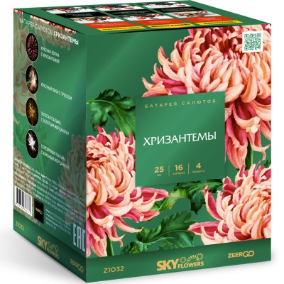 Хризантемы Фейерверк купить в Октябрьске | oktyabrsk.salutsklad.ru
