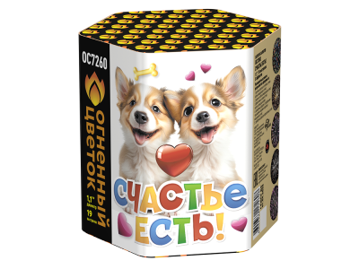 Счастье есть! Салют купить в Октябрьске | oktyabrsk.salutsklad.ru