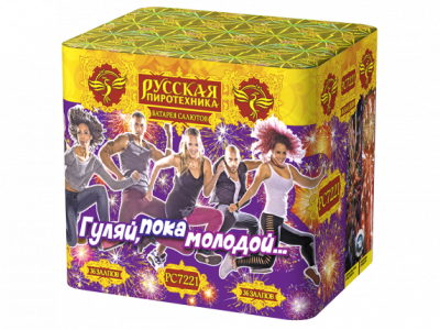 Гуляй, пока молодой Салют купить в Октябрьске | oktyabrsk.salutsklad.ru