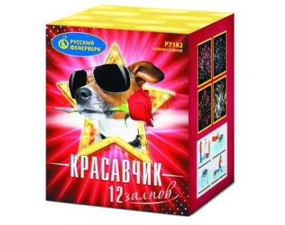Красавчик Салют купить в Октябрьске | oktyabrsk.salutsklad.ru